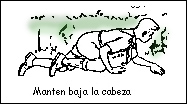 Mantén Baja la Cabeza